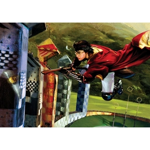 Jim Salvati Harry and the Golden Snitch From Harry Potter Giclee On Canvas